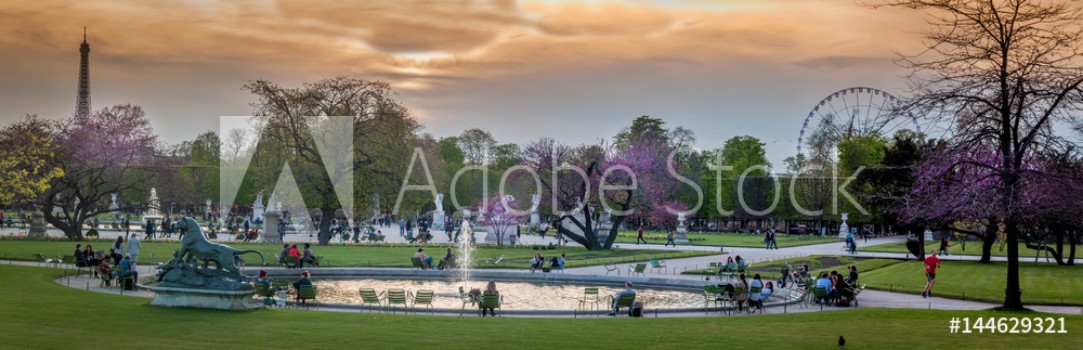 Bild på Jardin des Tuileries au crpuscule 